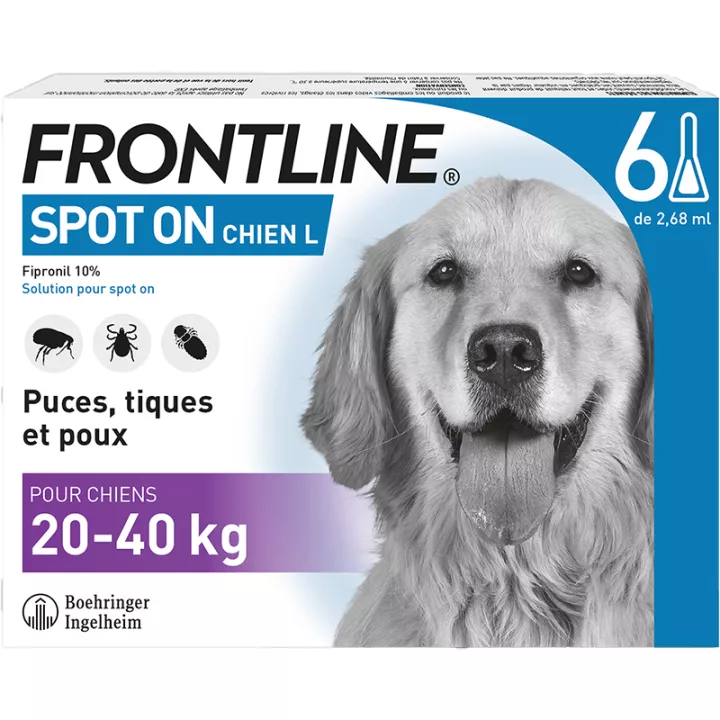 Frontline Spot On Chien L 20-40 kg 6 pipettes