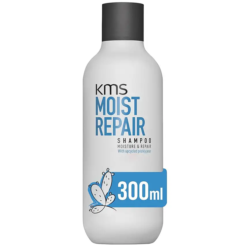 KMS Moistrepair