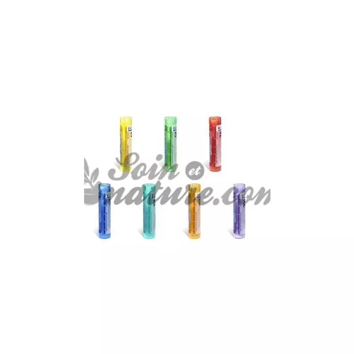 ACETYLCHOLINUM MURIATICUM 4CH 5CH 7CH 9CH 15CH 30CH Granules Boiron Homéopathie