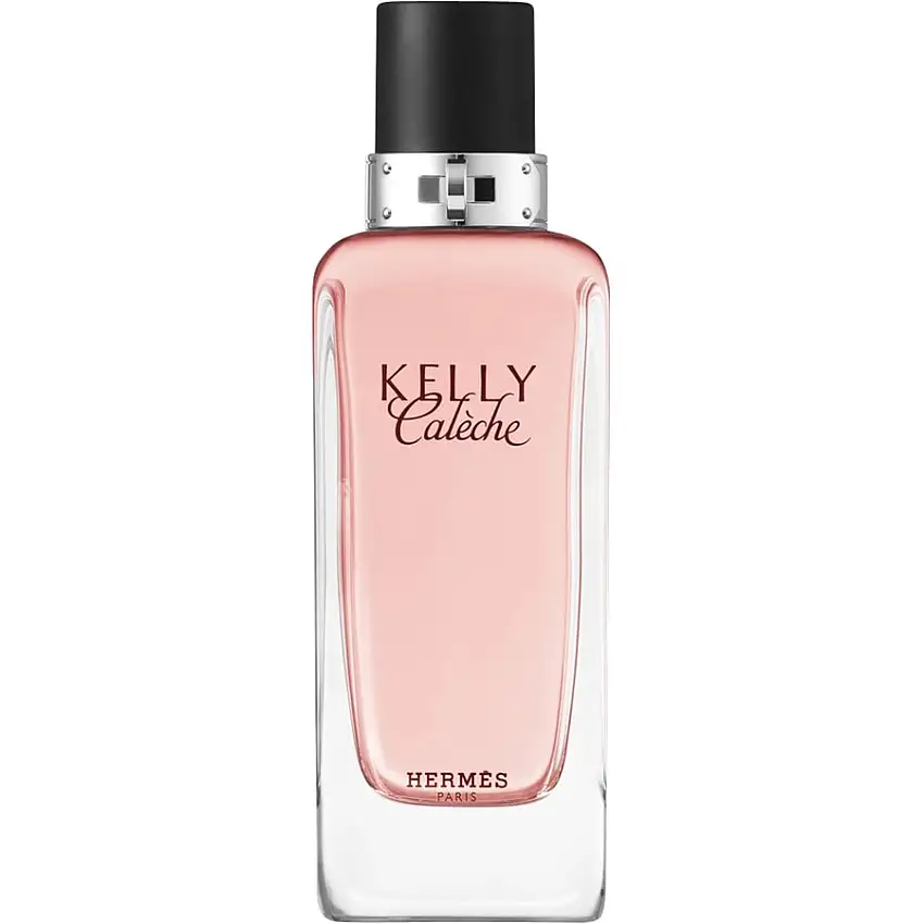 Hermès Kelly Calèche