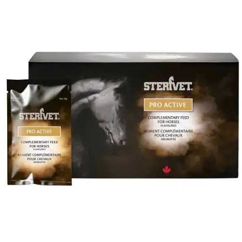 PRO ACTIVE 30BUST