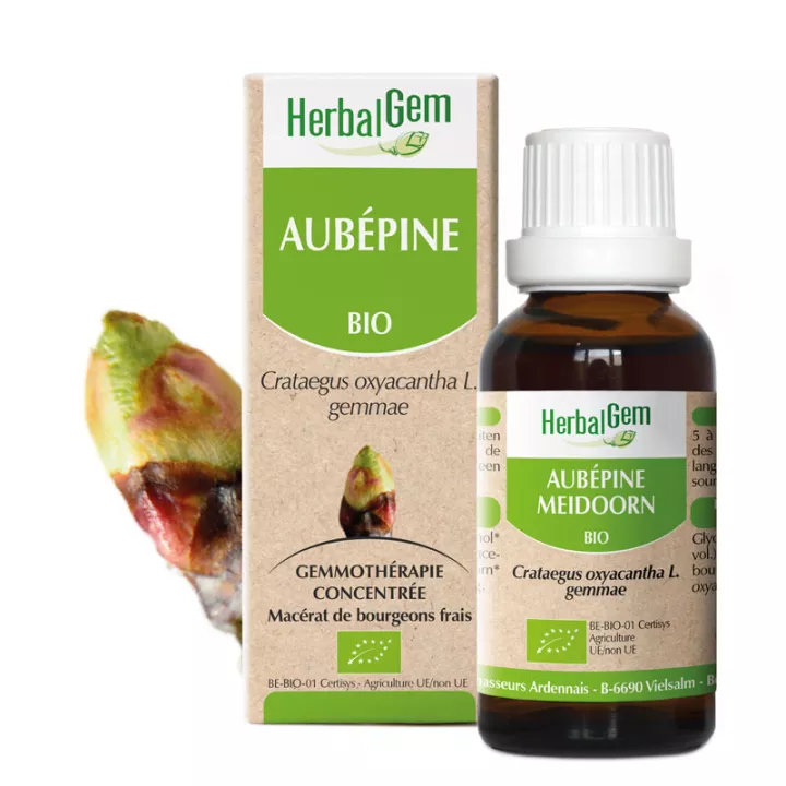 Herbalgem Macerat Mère Aubépine Bio 30 ml