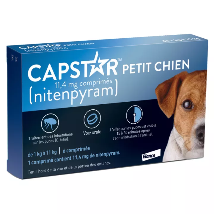 Capstar Petit Chien 6 comprimés