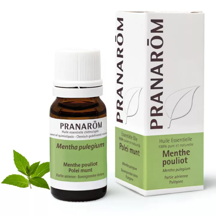 Pranarôm Huile essentielle Menthe pouliot 10ml