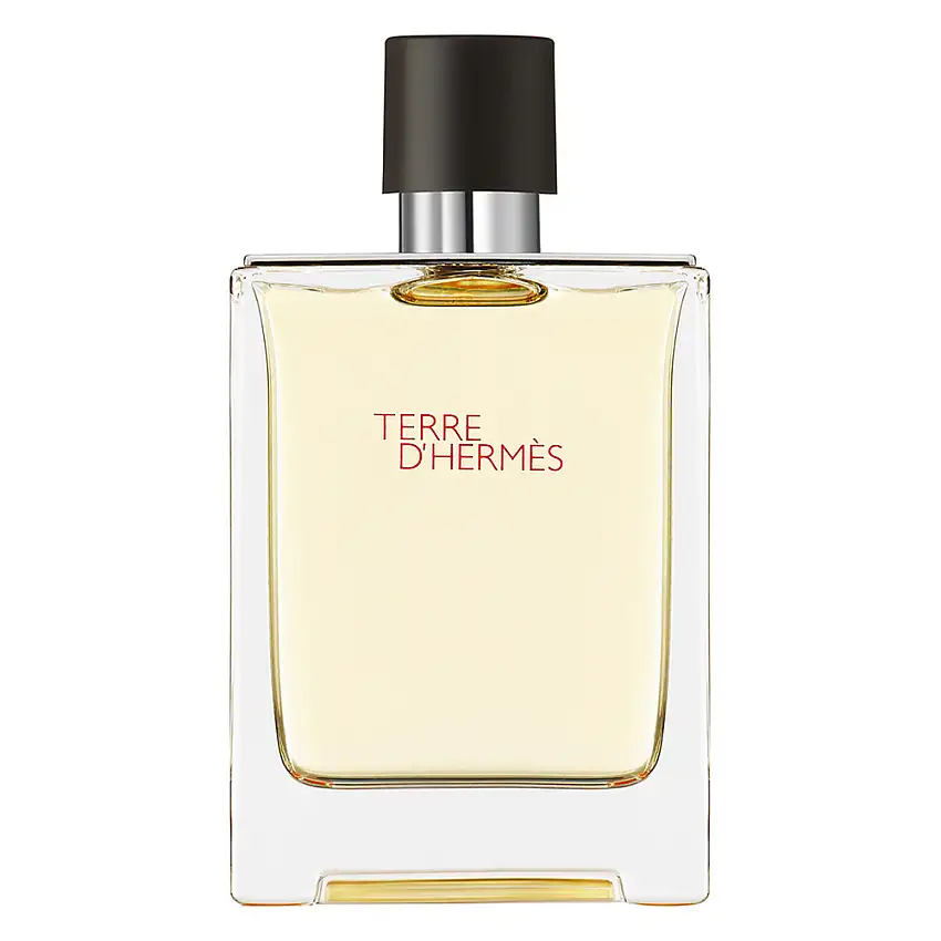 Terre d'Hermès Eau de Toilette 100ml