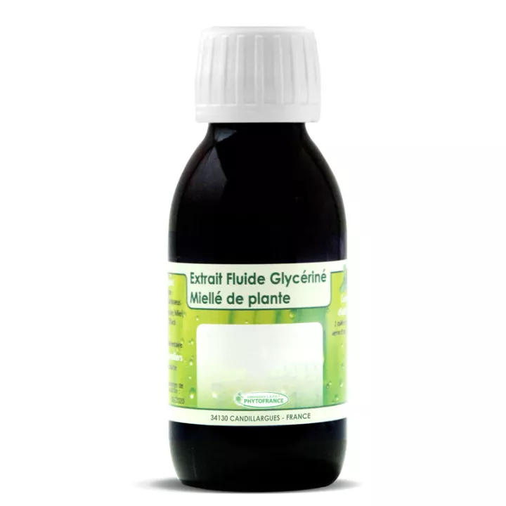 Astragale Bio EFG 125ml PhytoFrance