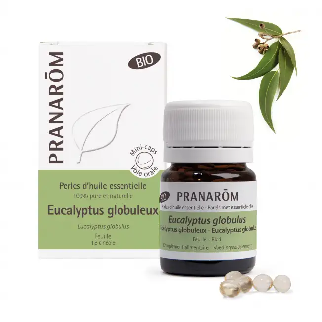 Pranarom Eucalyptus Globulus Perles 60