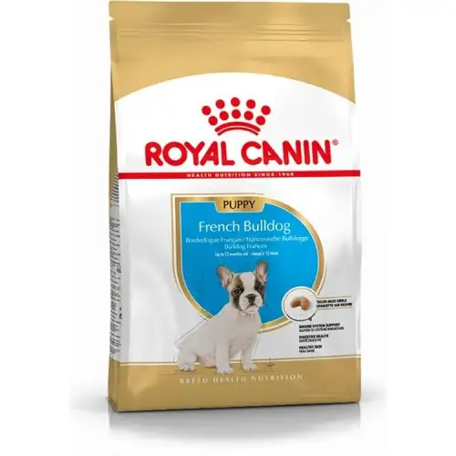 BHN FRENCH BULLDOG PUPPY 1KG