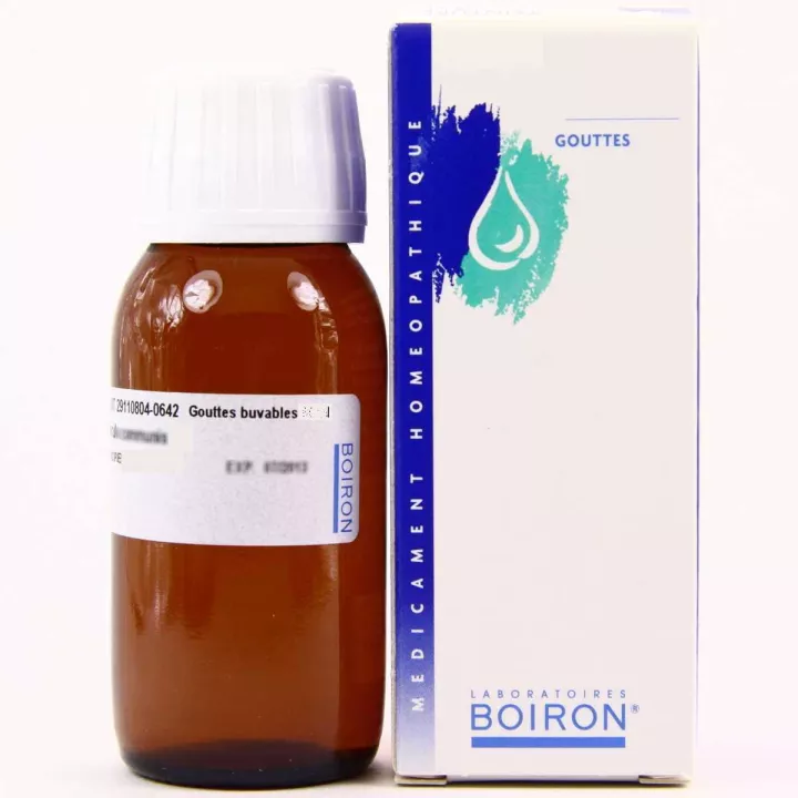 ACTAEA SPICATA 4DH 6DH Gouttes Homéopathique BOIRON