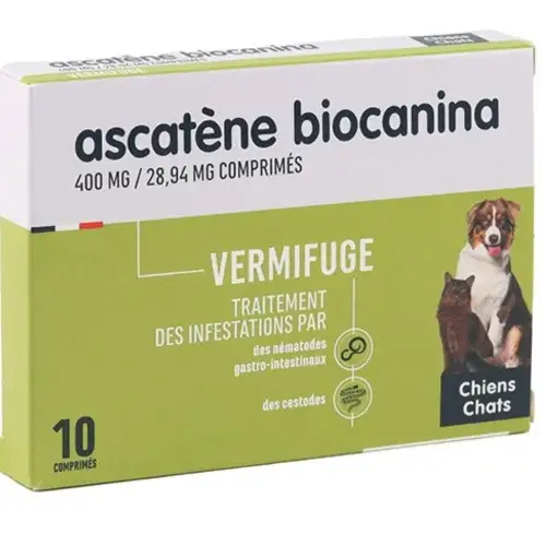 ASCATENE Biocanina 10 Comprimés