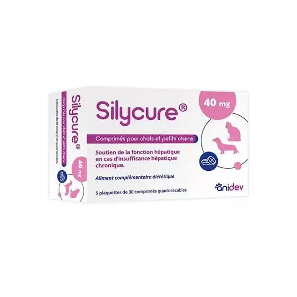 Anidev Silycure 40mg 150 Comprimés