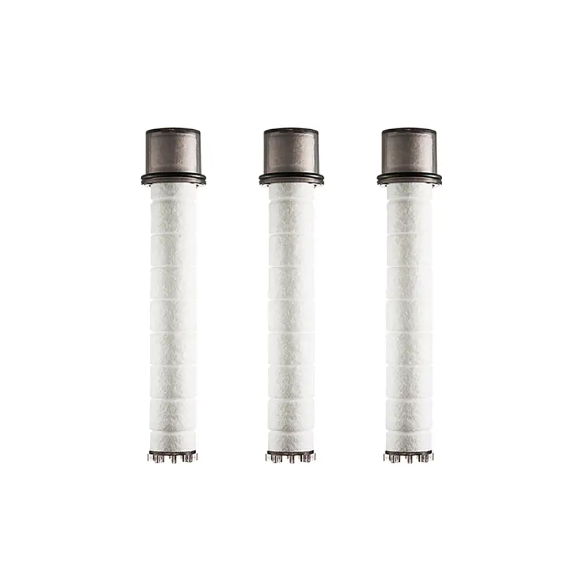 BODYLUV Puresome Filter Set