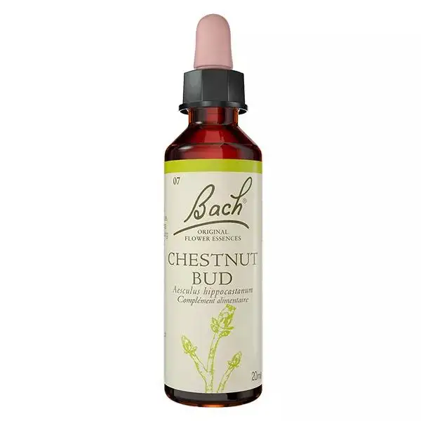 Fleurs de Bach Original - Chestnut Bud 20ml