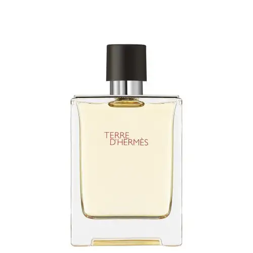 HERMÈS TERRE EDT 100 VAPO