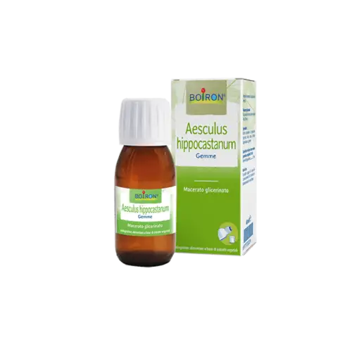 Aesculus Hippocastanum MG Boiron 60ml