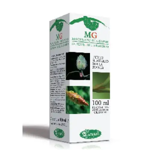 Châtaigne Mg Sangalli Depuis 1876 100ml