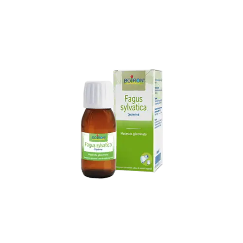 Fagus Sylvatica Boiron 60ml