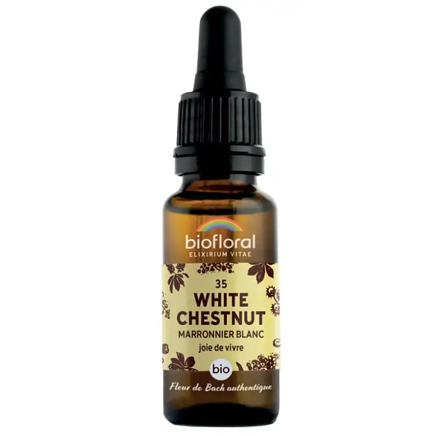 Fleurs de Bach - White Chestnut - 20ml