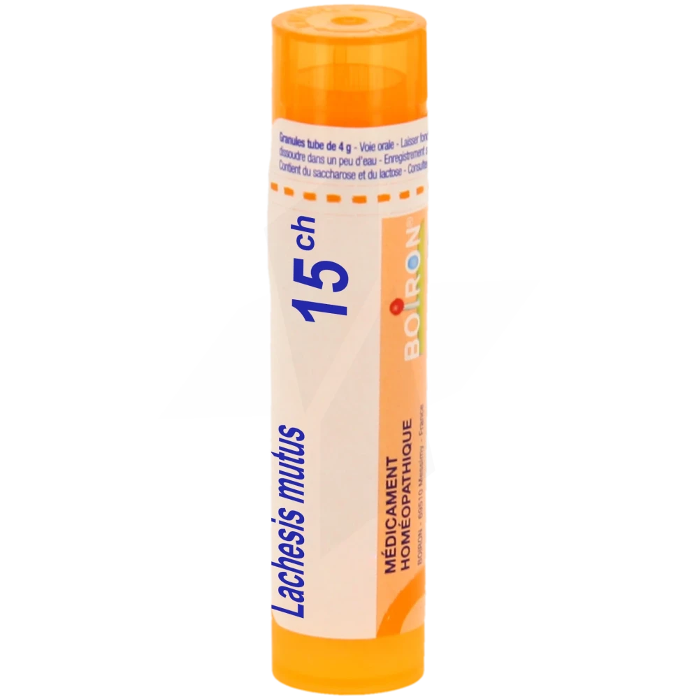 Lachesis Mutus 15ch Granules