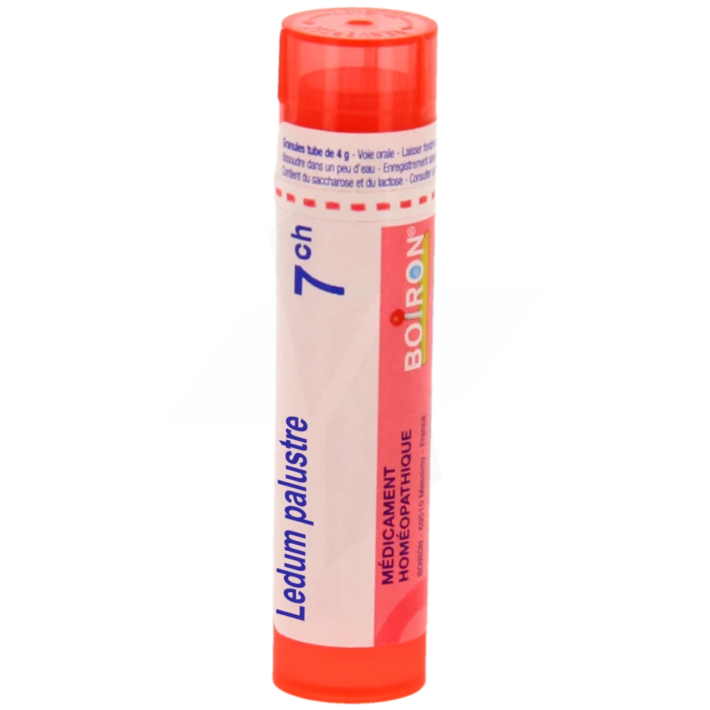 Ledum Palustre 7ch Granules