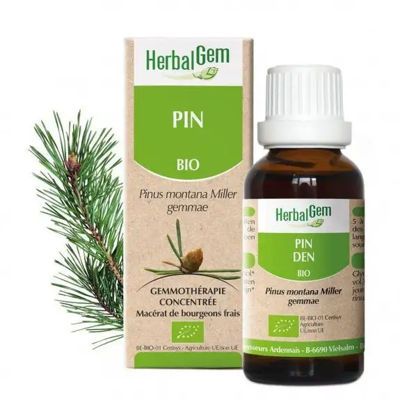 Herbalgem Pin Extrait de bourgeons bio 30 ml