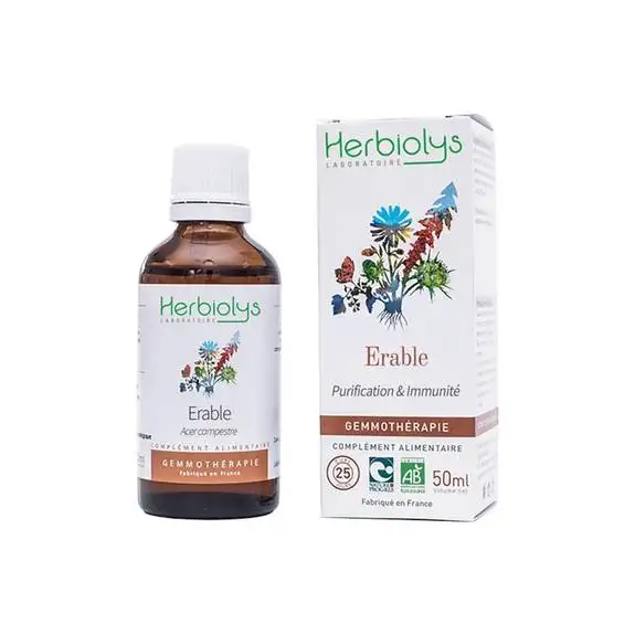 Herbiolys bourgeon érable bio 50ml