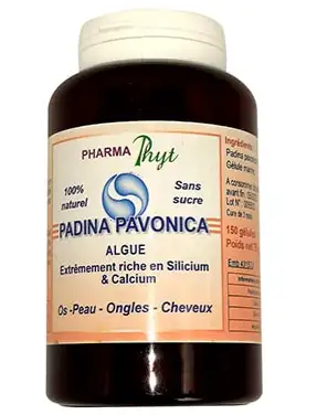 Pharmaphyt Padina Povanica Algues - 150 gélules