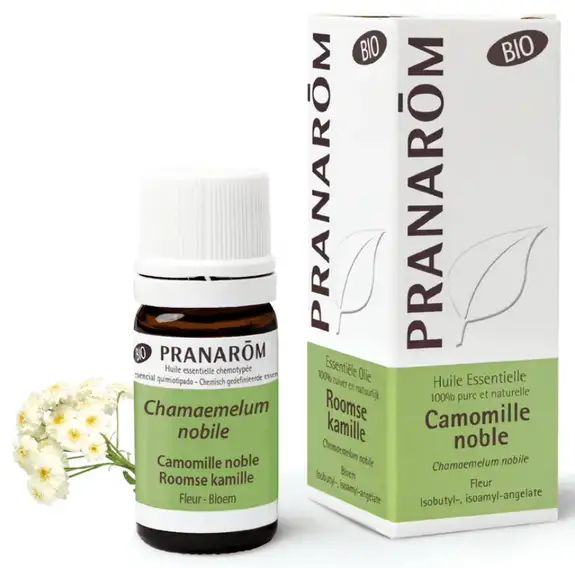 Pranarom Huile Essentielle Bio Camomille noble - 5ml