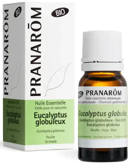 Pranarom Huile Essentielle Bio Eucalyptus globuleux - 10ml