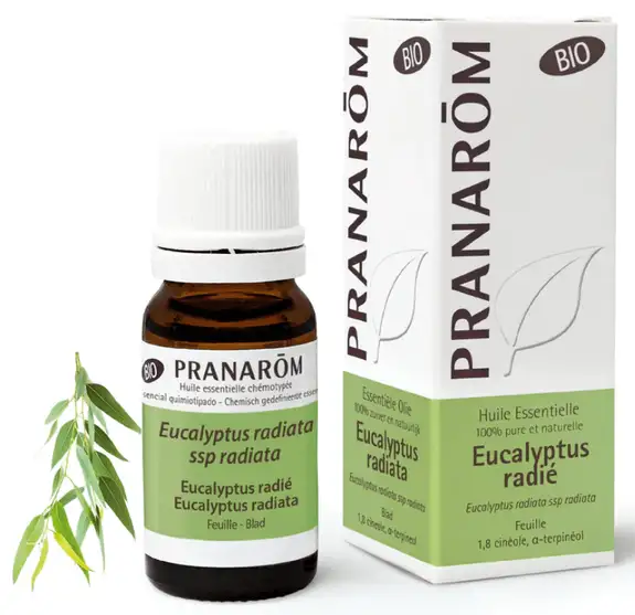Pranarom Huile Essentielle Bio Eucalyptus radié - 10ml