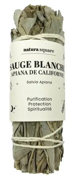 Natura Square Sauge Blanche Apiana Fagot de Fumigation