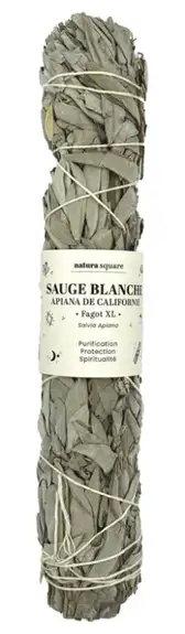 Natura Square Sauge Blanche Apiana Fagot de Fumigation XL