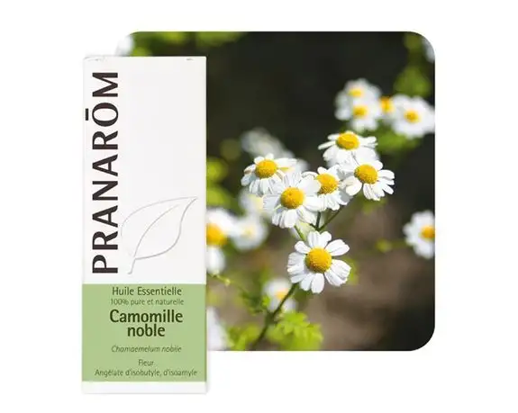 Pranarom Camomille Noble 5ml