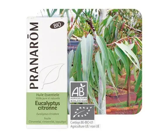 Pranarom HE Eucalyptus citronné 10ml