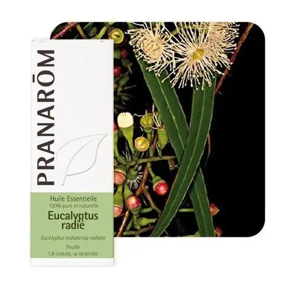 Pranarom HE Eucalyptus radié 10ml
