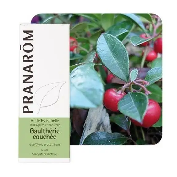 Pranarom HE Gaulthérie couchée 10ml