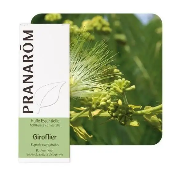 Pranarom HE Bio Giroflier 10ml