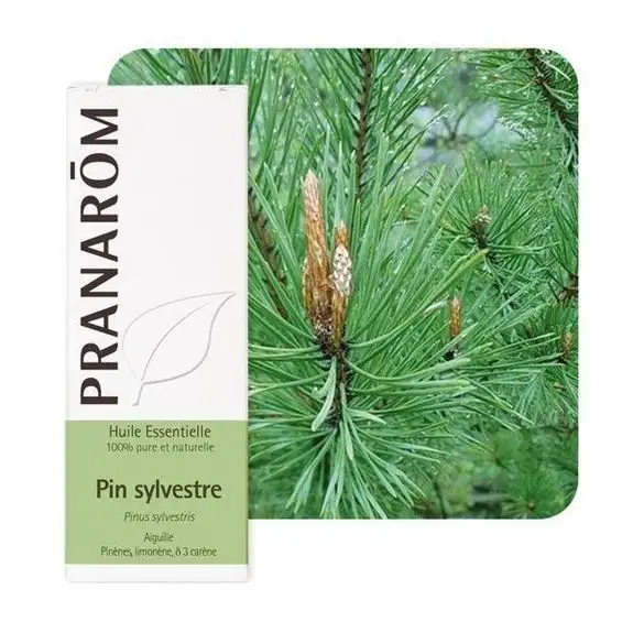 Pranarom HE Pin sylvestre 10ml