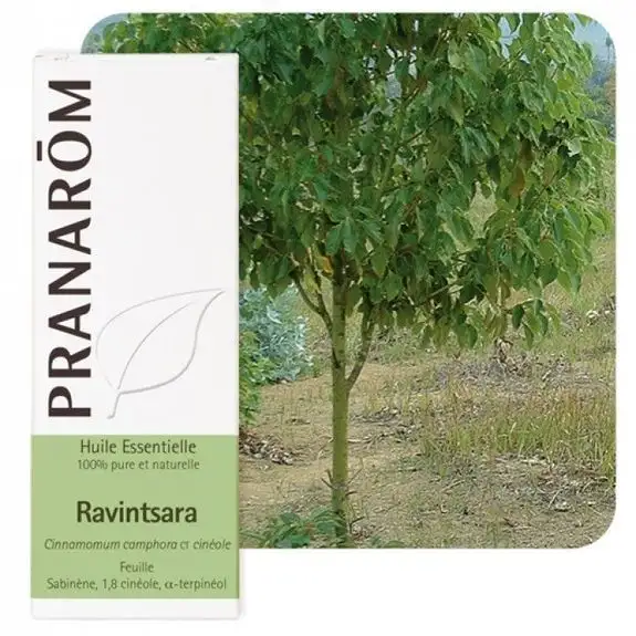 Pranarom HE Ravintsara BIO 10ml