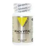 Vitall+ Maca Vital 500mg 60 comprimés