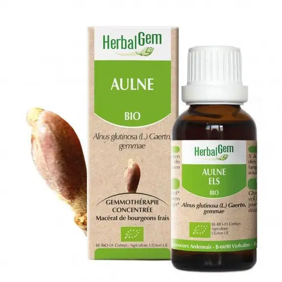 Herbalgem Aulne Bio 30ml bourgeons