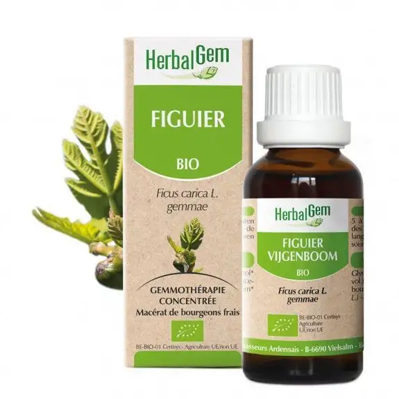 Herbalgem Figuier Bio 30ml bourgeons