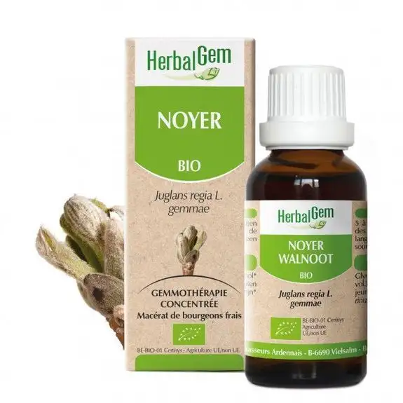 herbalgem Noyer Bio 30ml bourgeons