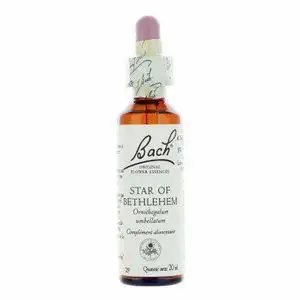 Fleurs de Bach 29 star of bethlehem 20 ml
